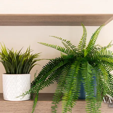 Terrazza Centrale-5 Minuti Dal Porto E Stazione- Viareggio